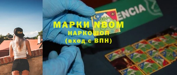 PSILOCYBIN Алзамай
