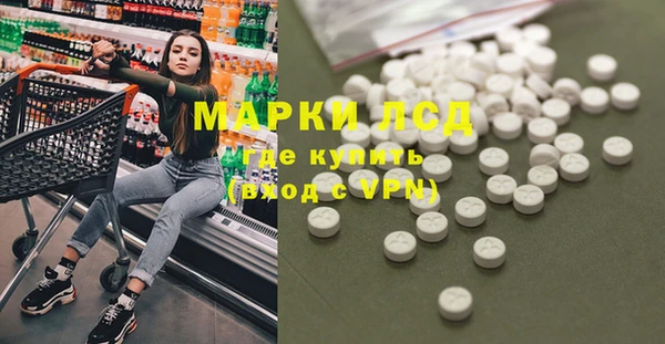 прущие грибы Пролетарск