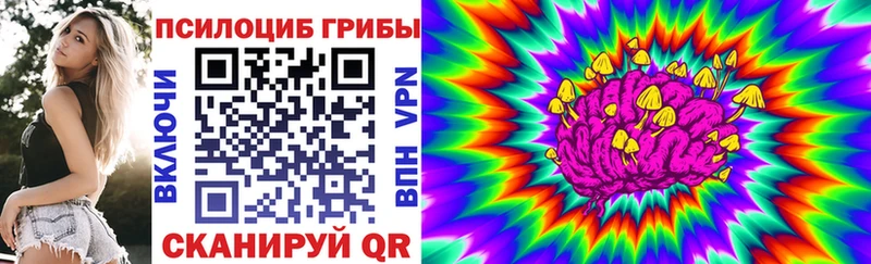 Галлюциногенные грибы ЛСД  Елизово 