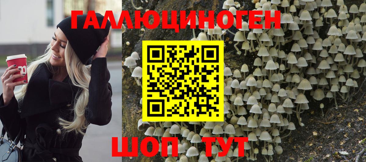 Галлюциногенные грибы Psilocybe  Псилоцибиновые грибы прущие грибы  Елизово  Вход с VPN 