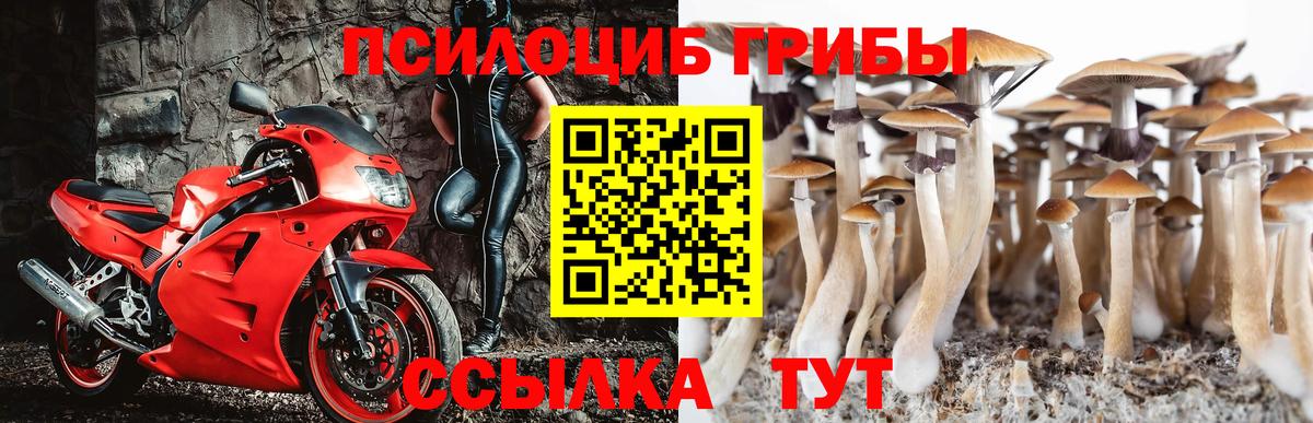 Галлюциногенные грибы мухоморы Елизово